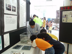 展示解説